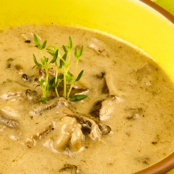 Ragu de Cogumelos